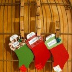 She's ready to Launch!!!